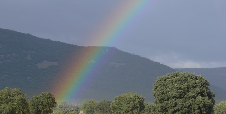 Otoño en la dehesa. Foto de Mario Diaz