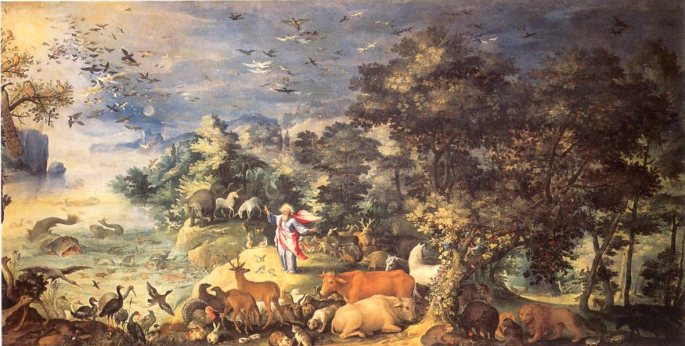 creacion-biodiversidad