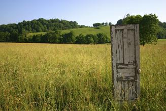 Door in Field